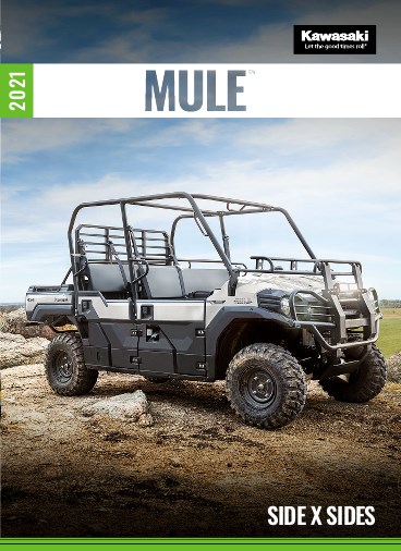 MULE SX™ 4x4 FI Brochure