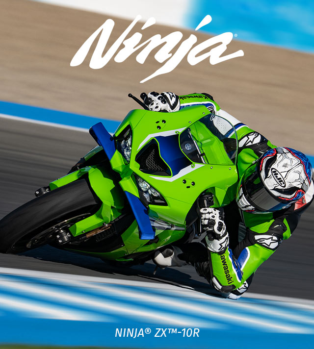 Ninja FAMILY: Ninja SMALL IMAGE